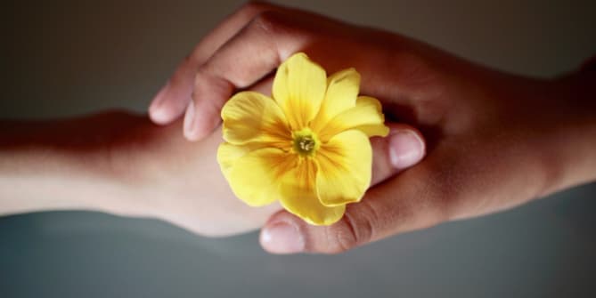 handshake