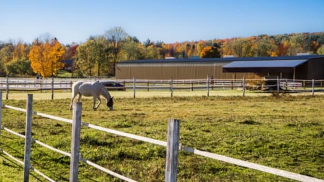 Vermont farm