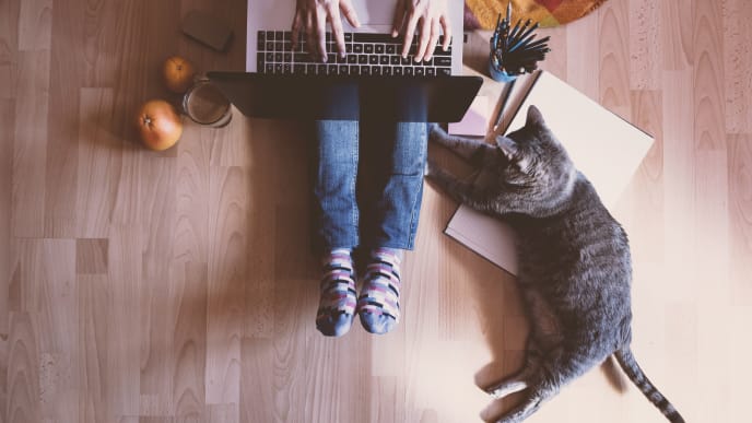 woman working on laptop next to her cat