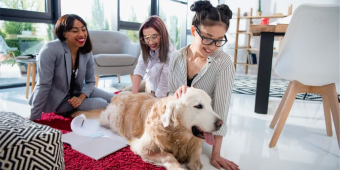 Women with a dog in the office