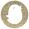 Baby Chick