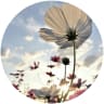 Brandy Werre image