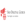 SEO Digital Gurus image