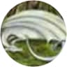 Angel Waters image