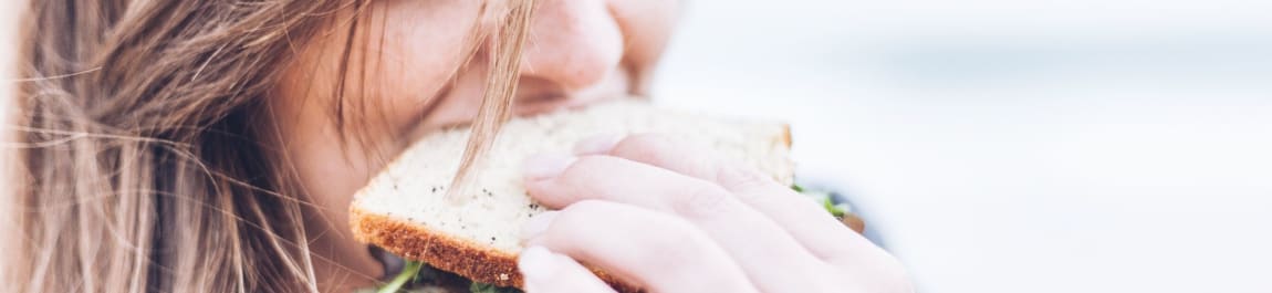 Sandwich header image