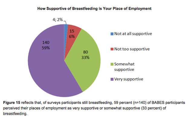 Survey of Employer Breastfeeding Support