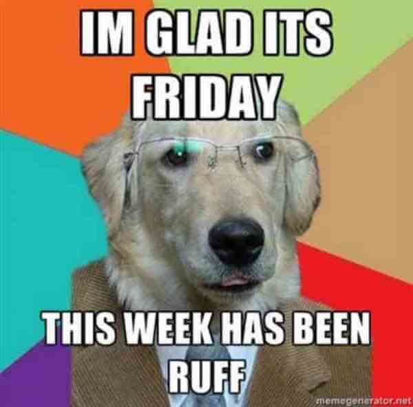 It S Friday We Work Memegerieratornet 27 Funny Friday - vrogue.co