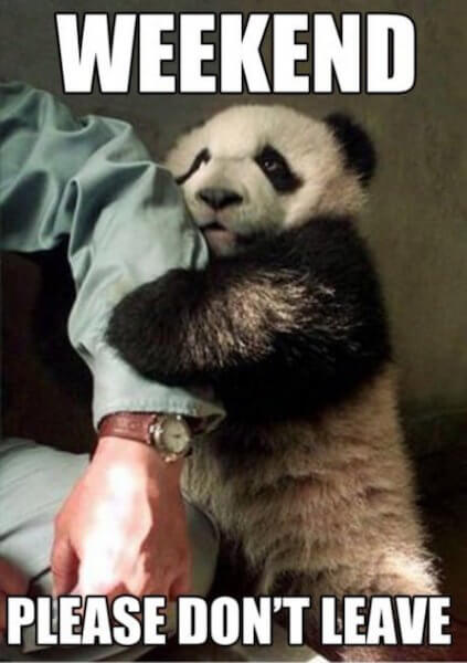 Monday at work meme with cute panda