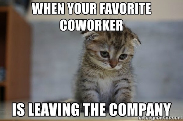 35 Coworker Memes To Send To Your Work Bestie Fairygodboss