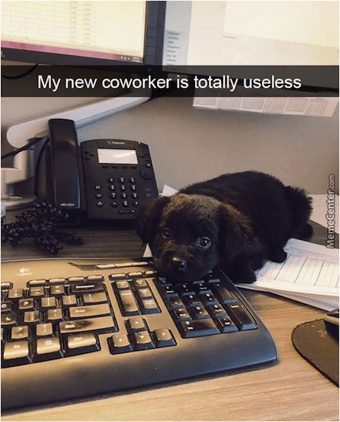 35 Coworker Memes to Send to Your Work Bestie | Fairygodboss