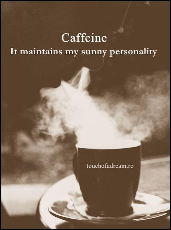 35 Coffee Memes That Are So Relatable Fairygodboss