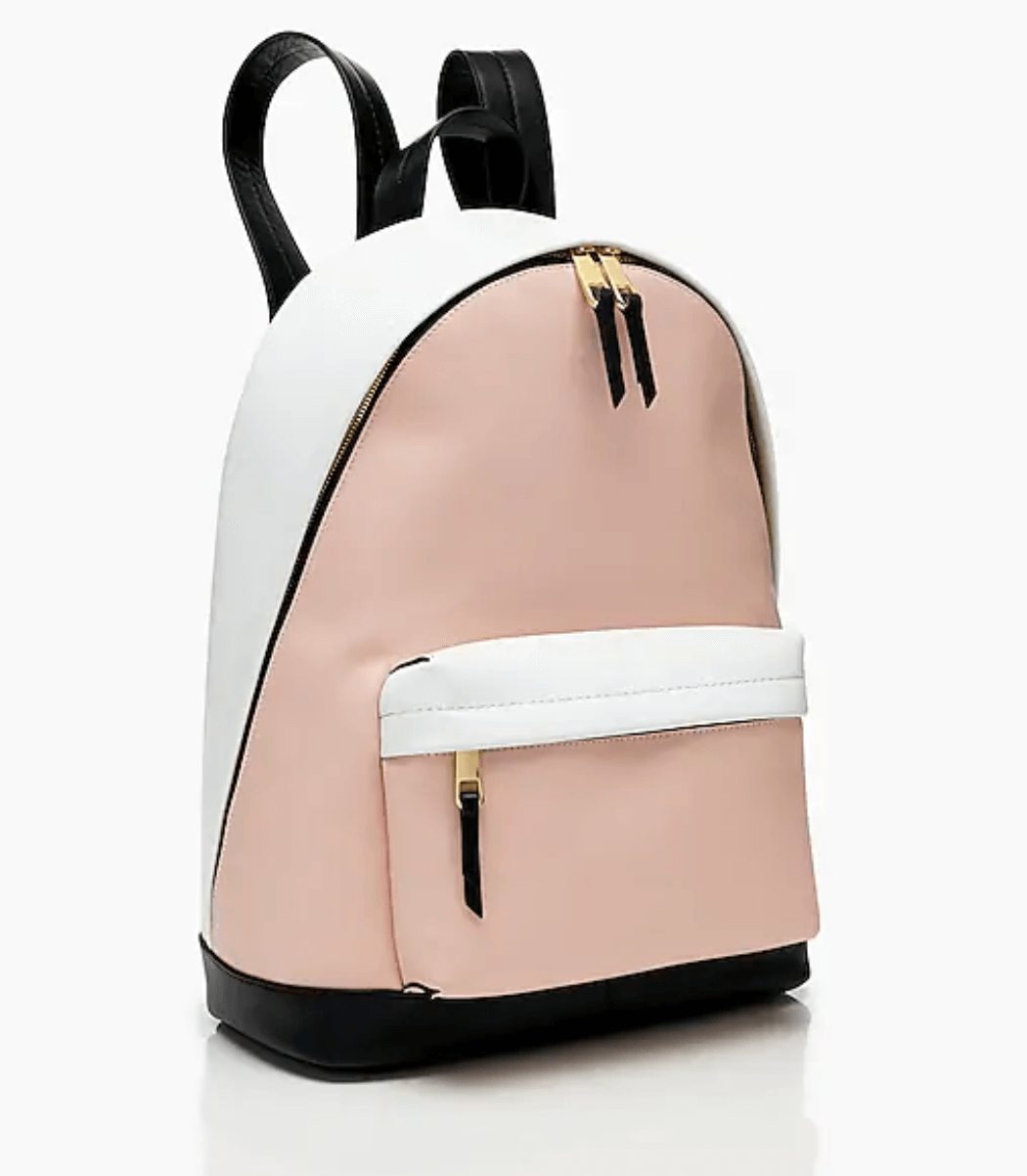 17 Best Women’s Backpacks for Work Fairygodboss