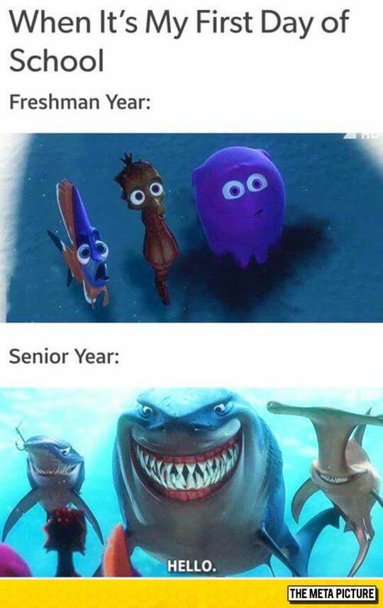 first day of school meme Finding Nemo