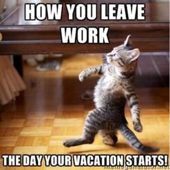 Leaving work and starting vacation meme with cat