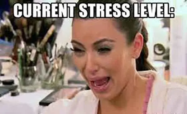 stress level meme