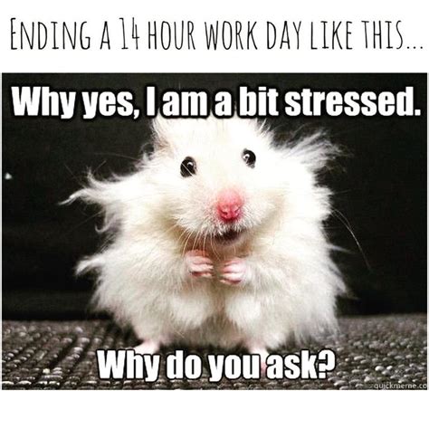 45 Way-Too-Funny Work Stress Memes That Will Make You Go ‘Same