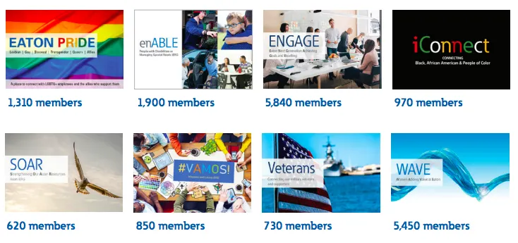Eight images representing Eaton's iERGs and their membership numbers.
